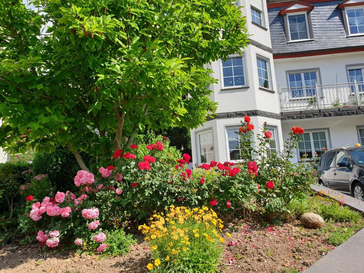 Ferienwohnung Thonnes Müden Εξωτερικό φωτογραφία